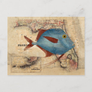 Carte Postale Bonjour de Floride