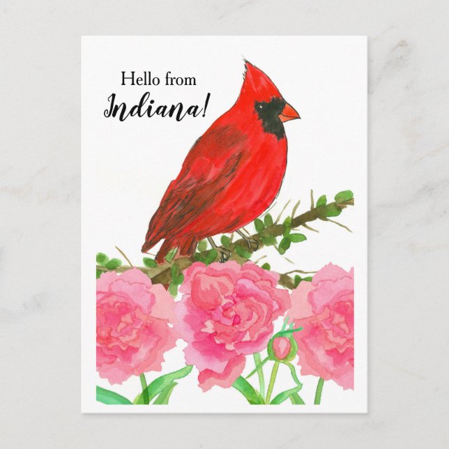 Carte Postale Bonjour de Indiana Red Male Cardinal Bird (Devant)