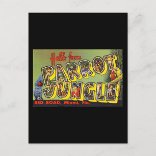 Carte Postale Bonjour de Parrot Jungle
