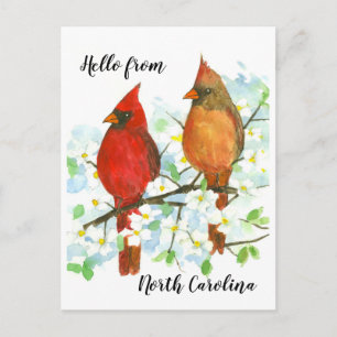 Carte Postale Bonjour des Cardinaux de Caroline du Nord