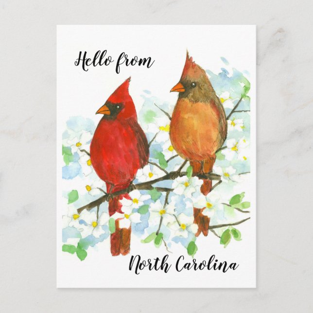 Carte Postale Bonjour des Cardinaux de Caroline du Nord (Devant)