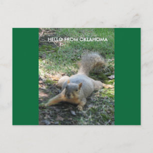 CARTE POSTALE BONJOUR D'OKLAHOMA