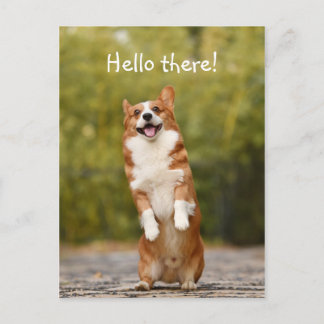 Carte Postale Bonjour ! / Funny Corgi
