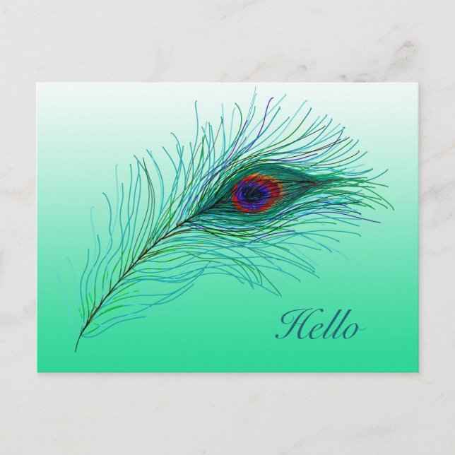 Carte Postale Bonjour, Garder en contact Peacock Feathers (Devant)