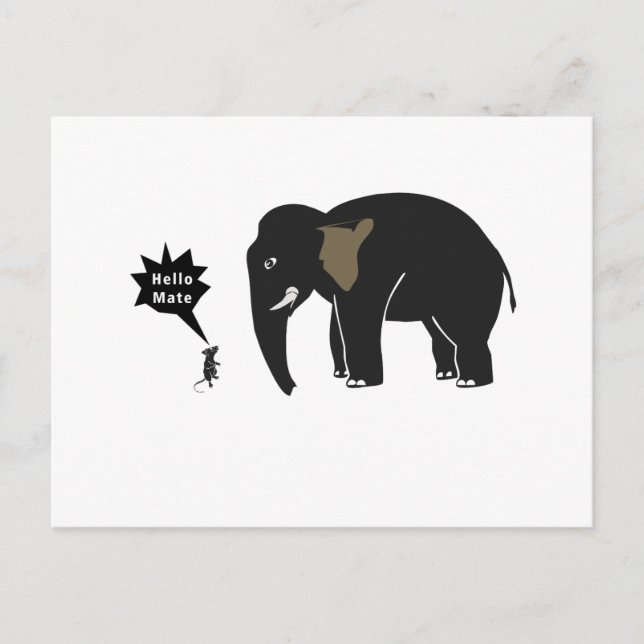 Carte Postale Bonjour Mate ! (Devant)