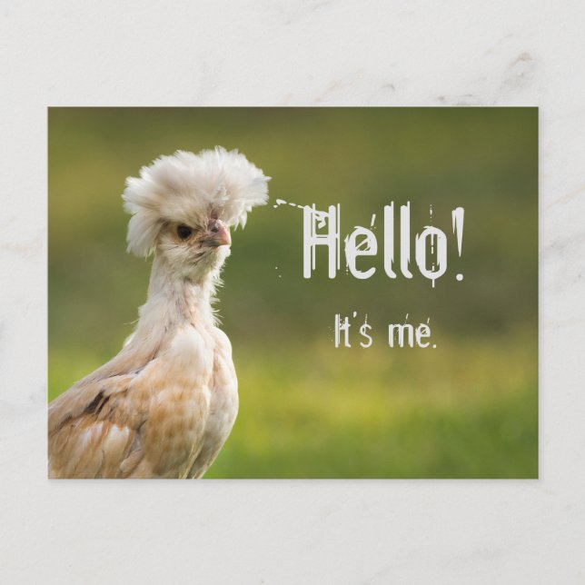 Carte Postale Bonjour message personnalisé Poulet polonais (Devant)
