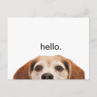 Carte Postale Bonjour mignon Beagle chien moderne tendance Blank