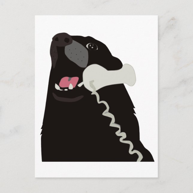 Carte Postale BONJOUR OUI C'EST LE CHIEN téléphone (Devant)