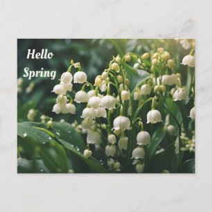 Carte Postale Bonjour Printemps Fleurs de Muguet