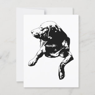 Carte Postale Bonjour Rapide, Laboratoire de tournage latéral