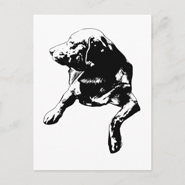 Carte Postale Bonjour Rapide, Laboratoire de tournage latéral (Devant)