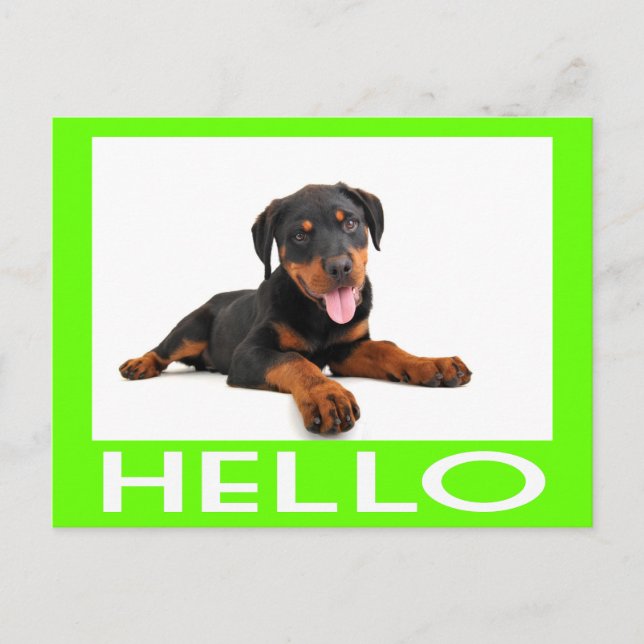 Carte Postale Bonjour Rottweiler Chien Chien Chien Chien Chien S (Devant)