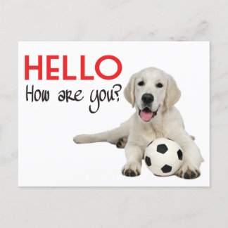 Carte Postale Bonjour Yellow Labrador Retriever Post Card
