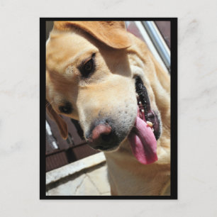 Carte Postale Bonne blague, mec !