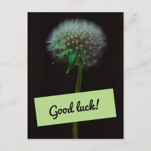 Carte Postale Bonne chance Dandelion