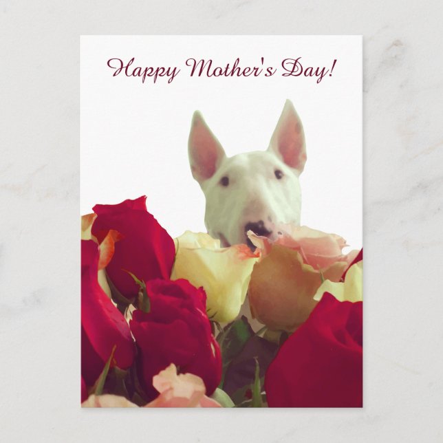 Carte Postale Bonne fête des mères ! Bull terrier avec roses (Devant)