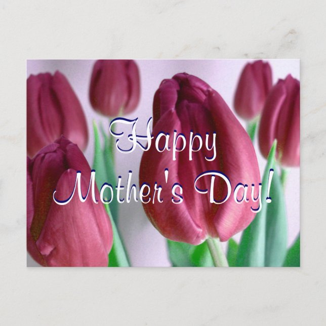 Carte Postale Bonne fête des mères Rosey Tulips (Devant)