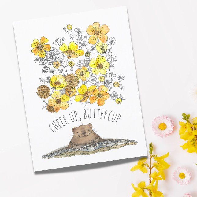Carte Postale Bonne Guérison Marmotte Remonte le Moral, Boutons  (Créateur téléchargé)