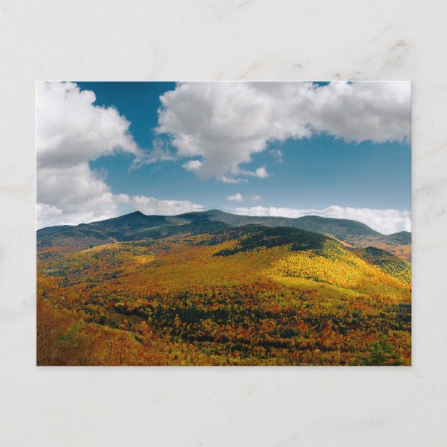 Carte Postale Bonne journée (Devant)