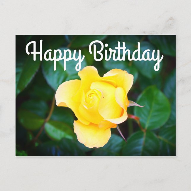 Carte Postale Bonne Marche d'anniversaire sur Sunshine Rose#1 Ca (Devant)