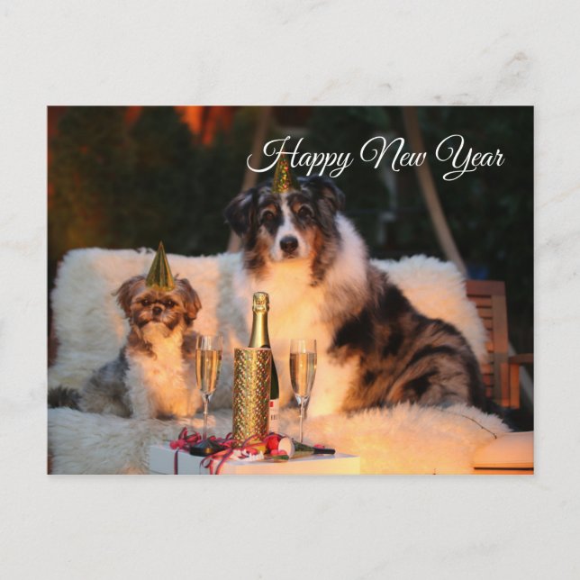 Carte Postale Bonne nouvelle année drôles chiens avec casquette  (Devant)