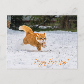 Carte Postale Bonne PostCard du Nouvel An de Cute Ginger Cat