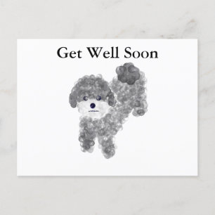 Carte postale Bonne récupération Poodle gris #1