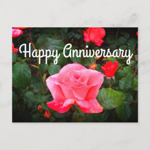Carte Postale Bonne visite à l'anniversaire du Rose de classe #1