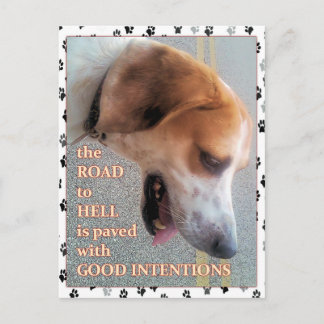 Carte Postale Bonnes intentions Chien