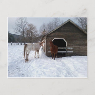 Carte Postale Bonnie et Clyde