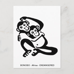 Carte Postale BONOBO - Chimpanzé - Primate - Ape -