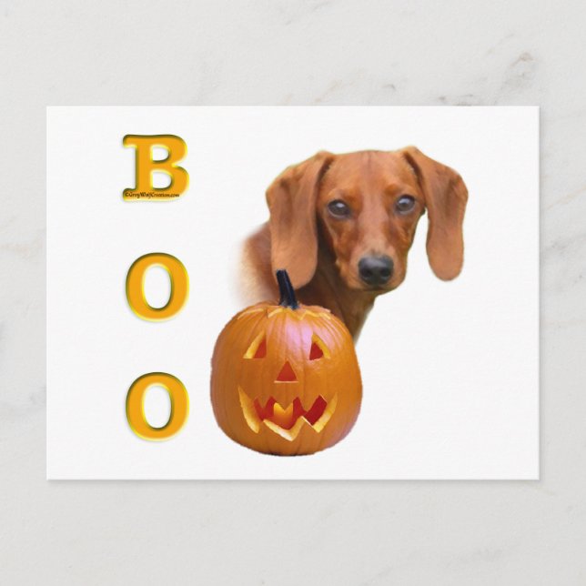 Carte Postale Boo Dachshund (lisse) (Devant)
