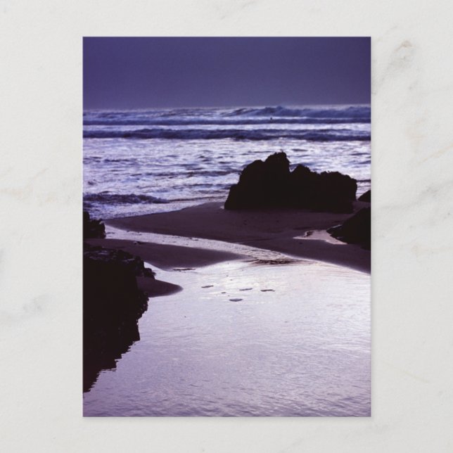 Carte Postale Boobys Bay (Devant)