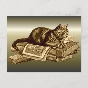 Carte Postale Books Kitty Cat Lecture