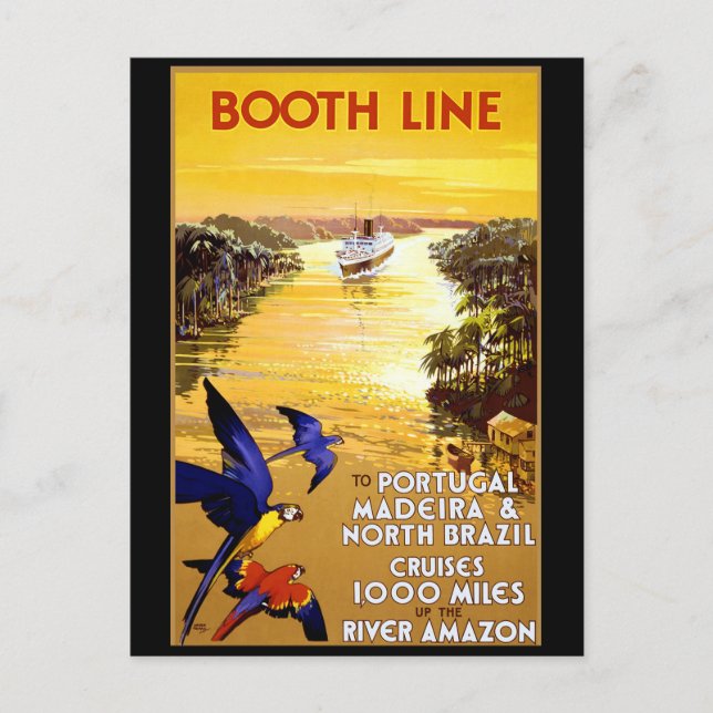 Carte Postale Booth Line to Portugal Madeira (Devant)