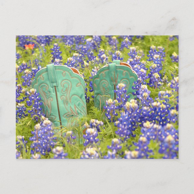 CARTE POSTALE BOOTS DE COWGIRL (Devant)