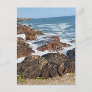 Carte Postale Bord de mer français en Vendée