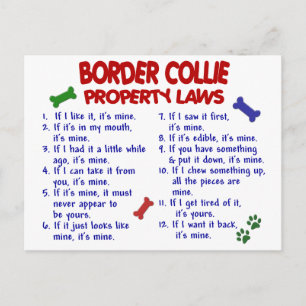 Carte Postale BORDER COLLIE Propriété Lois 2