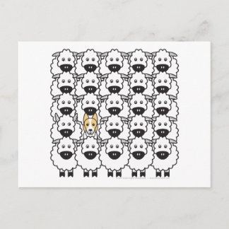 Carte Postale Bordure Collie dans le mouton