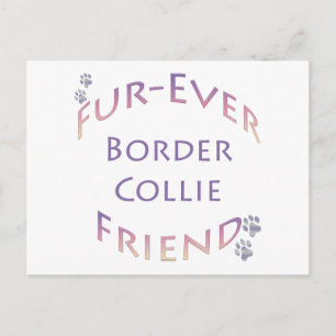 Carte Postale Bordure Collie Furever
