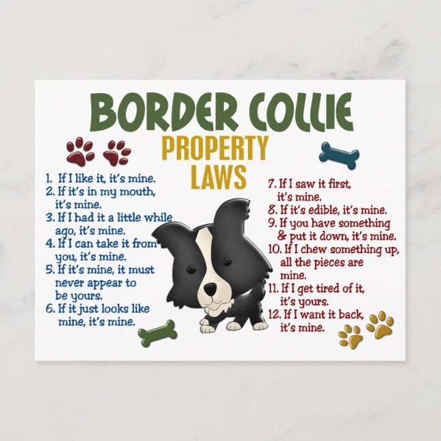 Carte Postale Bordure Collie Lois sur les propriétés 4 (Devant)