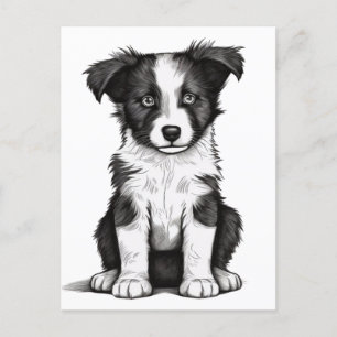 Carte Postale Bordure Collie Sheepdog Australian Shephard Puppy