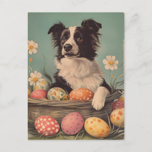 Carte Postale Bordure Collie Vintage Pâques