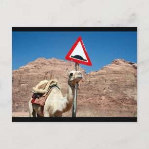 Carte Postale bordure de bosse de chameau