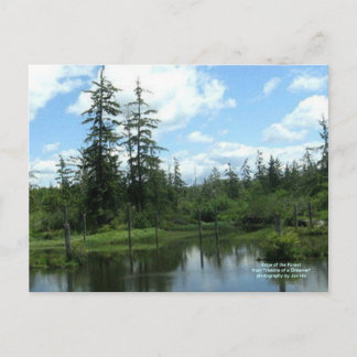 Carte Postale Bordure de la forêt