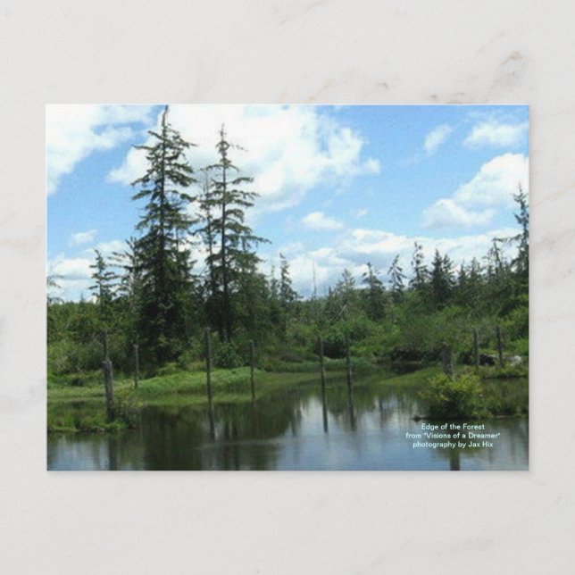 Carte Postale Bordure de la forêt (Devant)