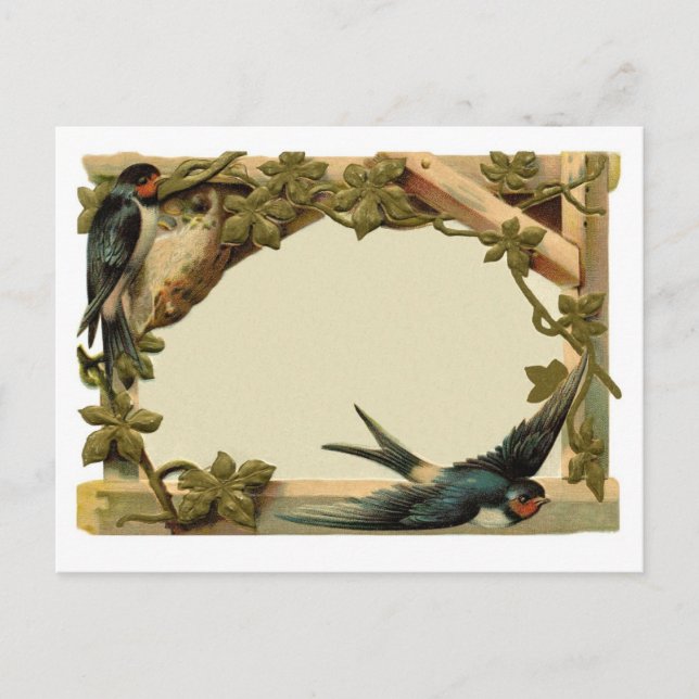 Carte Postale Bordure de lierre et d'hirondelle relativement Vin (Devant)