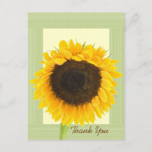 Carte Postale Bordure de Merci de tournesol