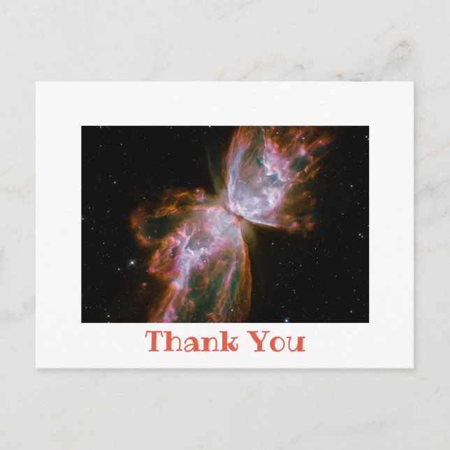 Carte Postale Bordure de photo blanche Merci (Devant)