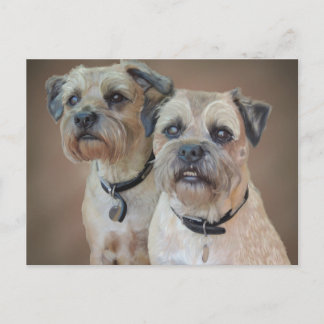 Carte postale Bordure Terrier